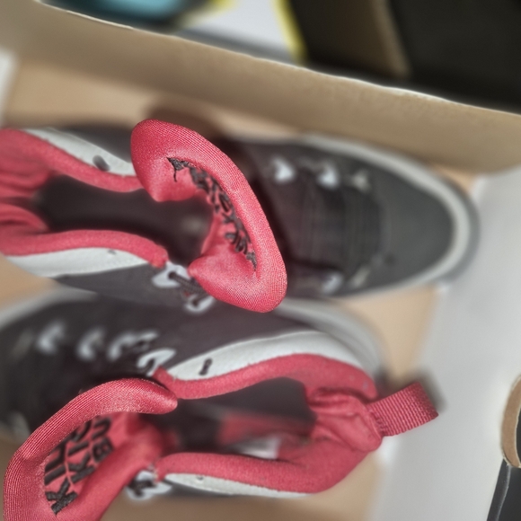 Jordan's true flight - Picture 2 of 5